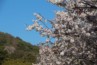 IMG_8855