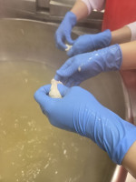 20260603_094549 (480x640)