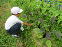 IMG_6093 - コピー