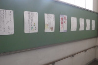 DSCF8578